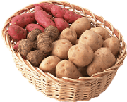 Root Crop & Tuber
